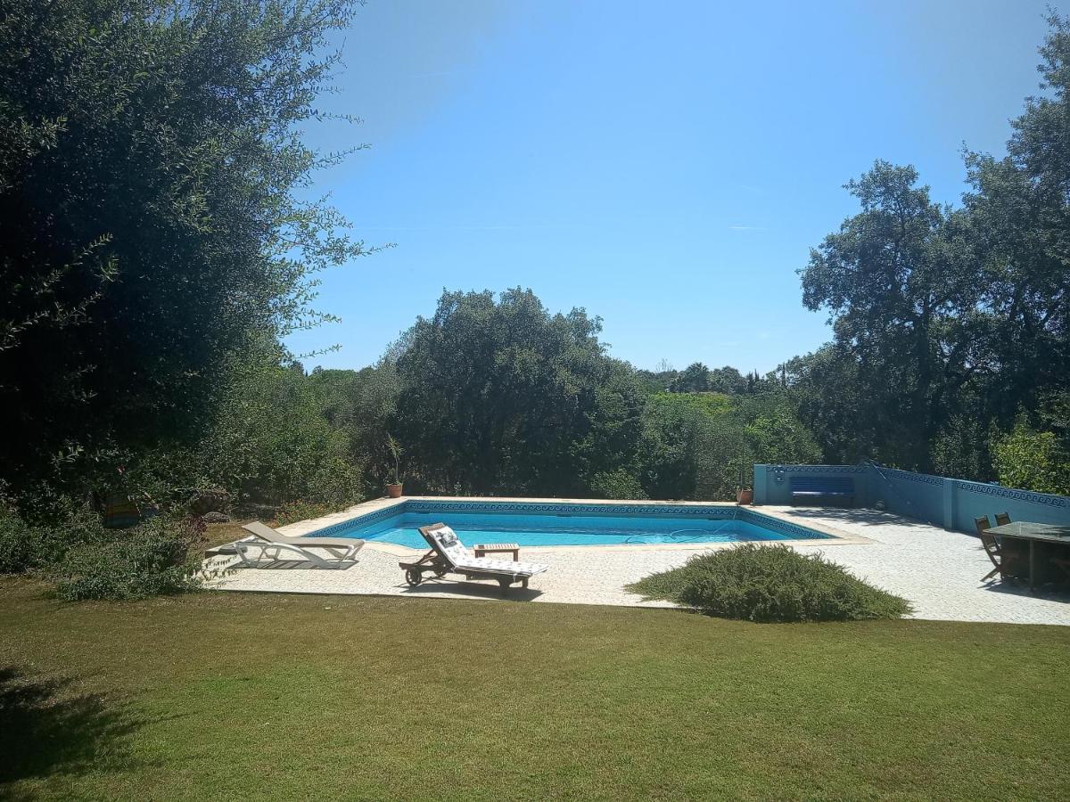 Sotogrande - Estancia En Plena Naturaleza - Abril Zewnętrze zdjęcie