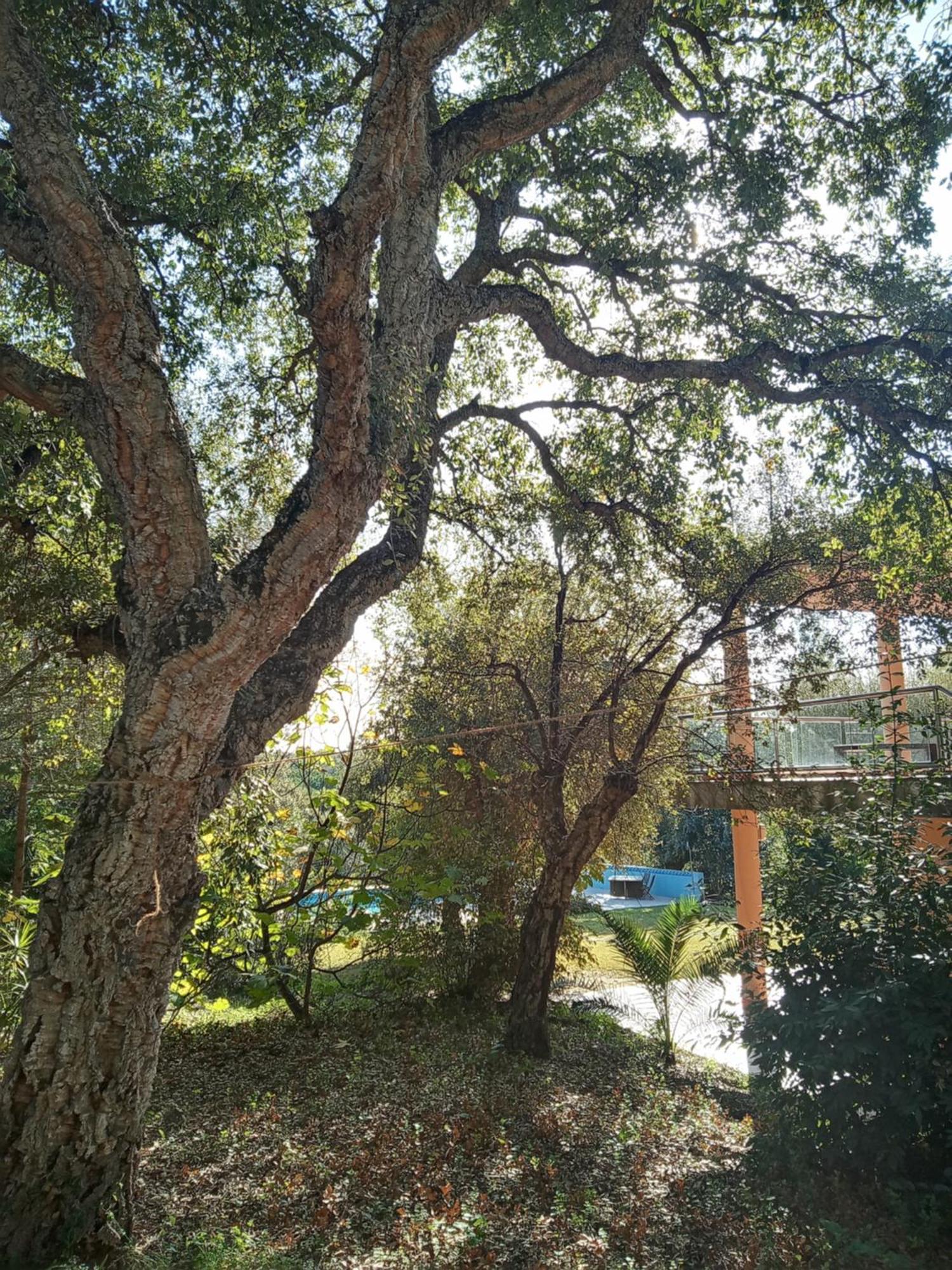 Sotogrande - Estancia En Plena Naturaleza - Abril Zewnętrze zdjęcie