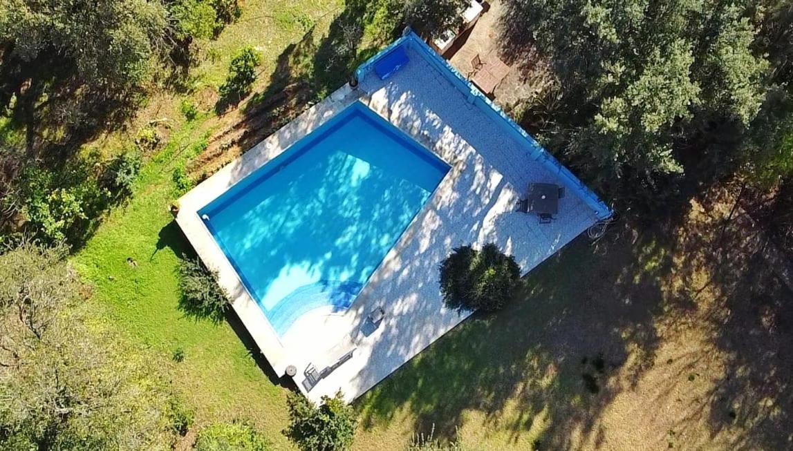 Sotogrande - Estancia En Plena Naturaleza - Abril Zewnętrze zdjęcie