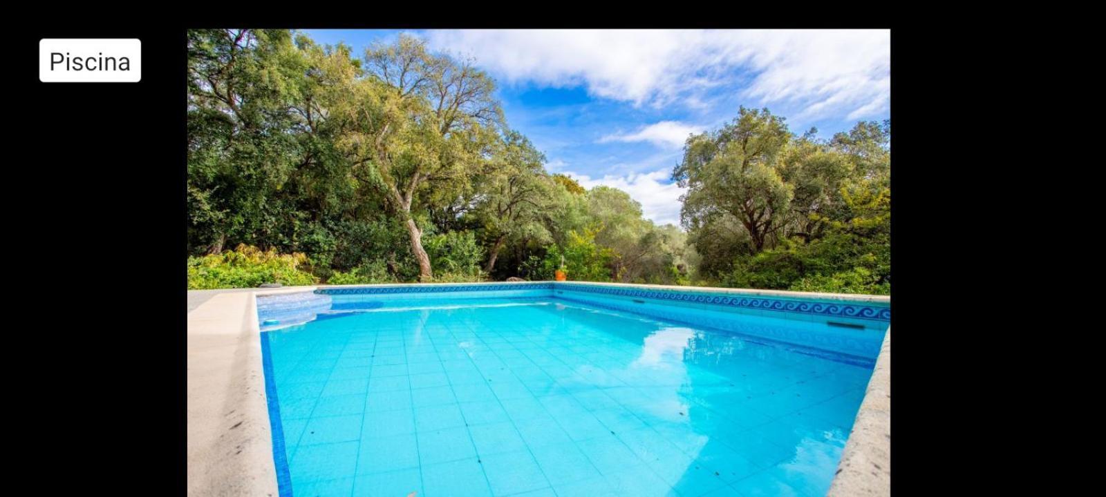 Sotogrande - Estancia En Plena Naturaleza - Abril Zewnętrze zdjęcie